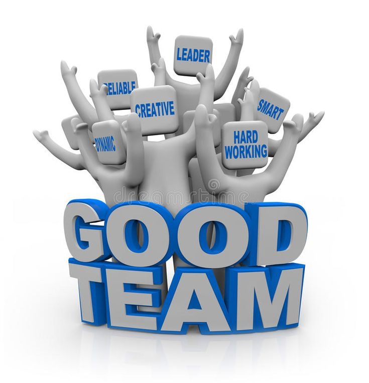 Meet the Team